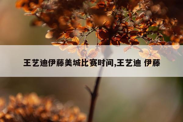 王艺迪伊藤美城比赛时间,王艺迪 伊藤