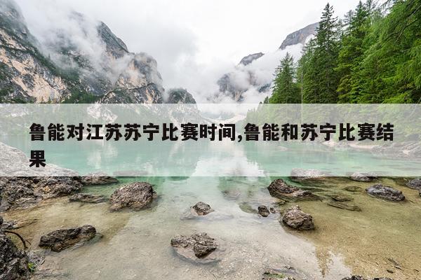 鲁能对江苏苏宁比赛时间,鲁能和苏宁比赛结果