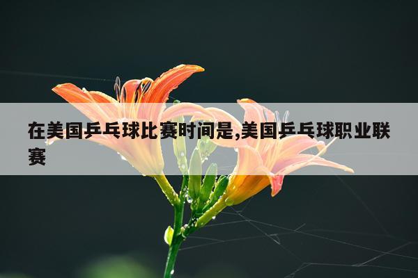 在美国乒乓球比赛时间是,美国乒乓球职业联赛