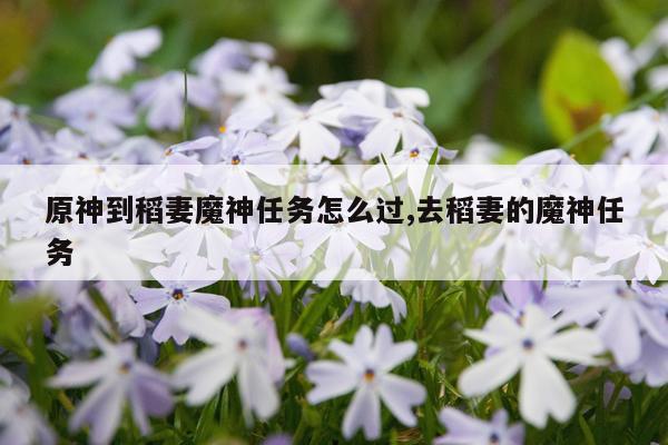 原神到稻妻魔神任务怎么过,去稻妻的魔神任务