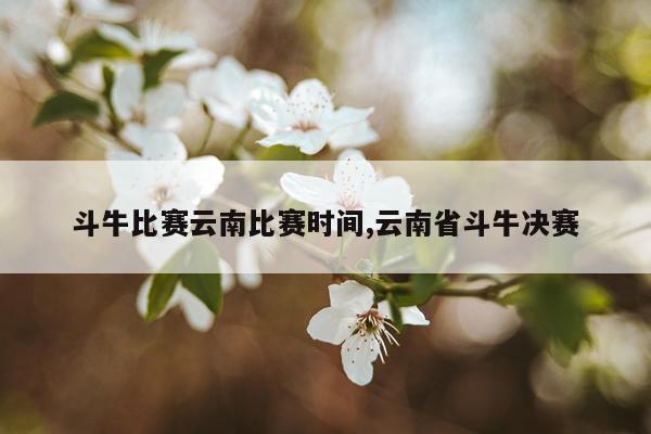 斗牛比赛云南比赛时间,云南省斗牛决赛