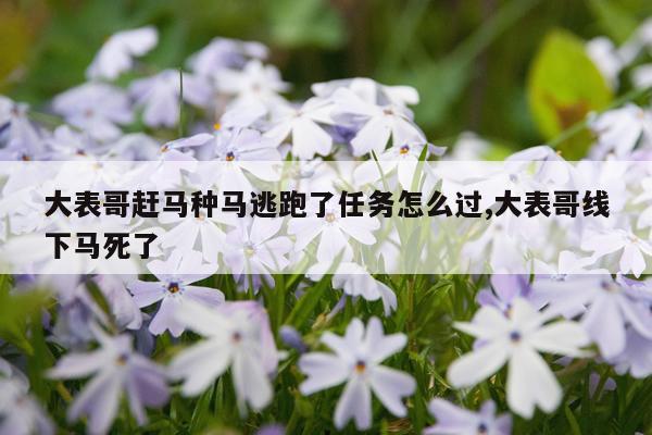 大表哥赶马种马逃跑了任务怎么过,大表哥线下马死了