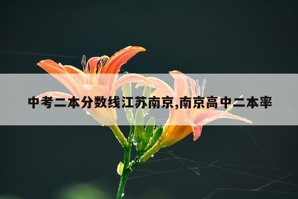 中考二本分数线江苏南京,南京高中二本率
