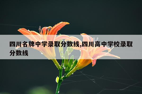 四川名牌中学录取分数线,四川高中学校录取分数线