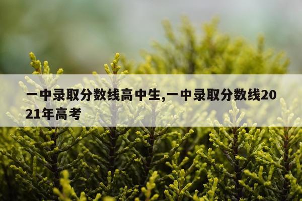 一中录取分数线高中生,一中录取分数线2021年高考