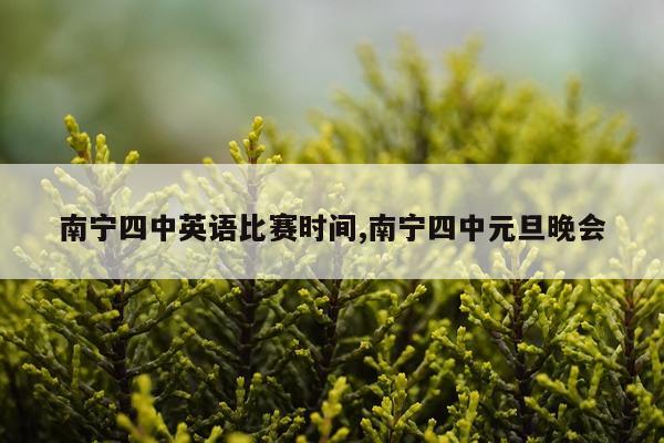 南宁四中英语比赛时间,南宁四中元旦晚会