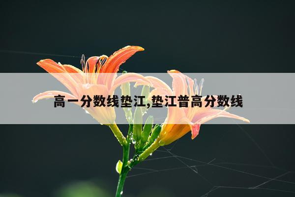 高一分数线垫江,垫江普高分数线