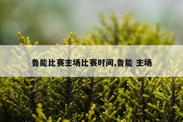 鲁能比赛主场比赛时间,鲁能 主场