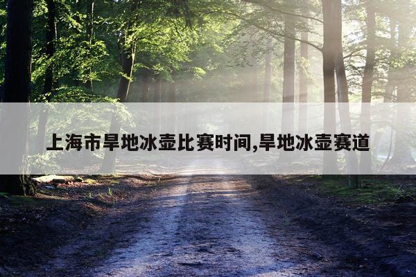 上海市旱地冰壶比赛时间,旱地冰壶赛道