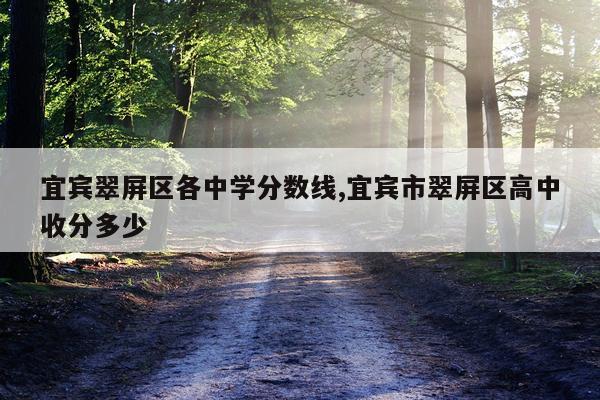 宜宾翠屏区各中学分数线,宜宾市翠屏区高中收分多少