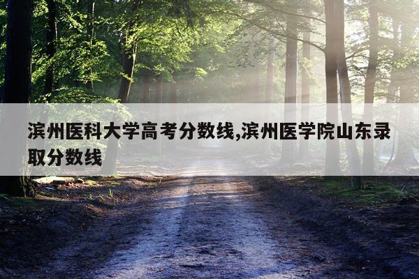 滨州医科大学高考分数线,滨州医学院山东录取分数线