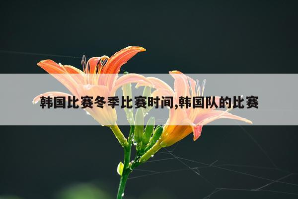 韩国比赛冬季比赛时间,韩国队的比赛