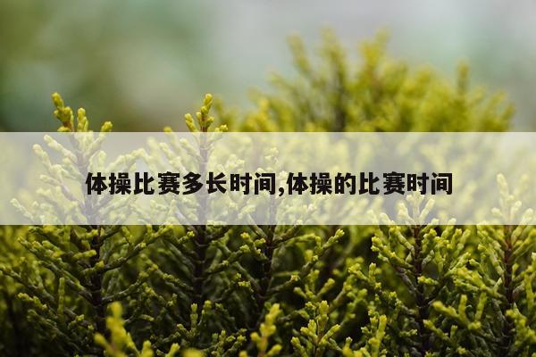 体操比赛多长时间,体操的比赛时间