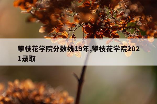 攀枝花学院分数线19年,攀枝花学院2021录取