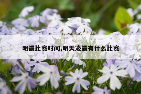明晨比赛时间,明天凌晨有什么比赛