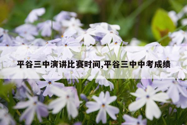 平谷三中演讲比赛时间,平谷三中中考成绩
