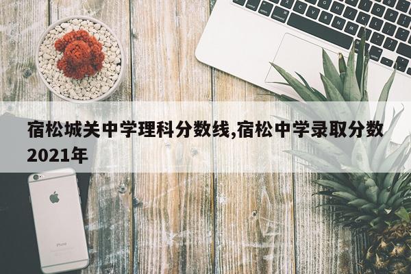 宿松城关中学理科分数线,宿松中学录取分数2021年