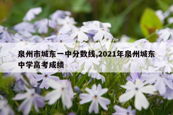 泉州市城东一中分数线,2021年泉州城东中学高考成绩