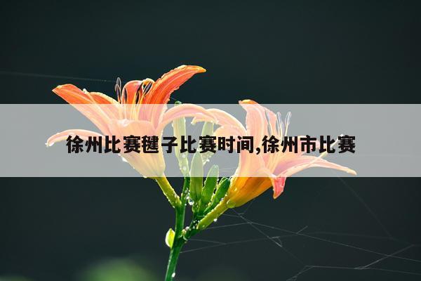 徐州比赛毽子比赛时间,徐州市比赛