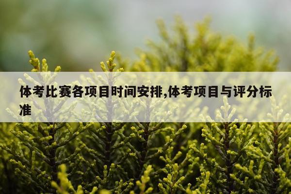 体考比赛各项目时间安排,体考项目与评分标准