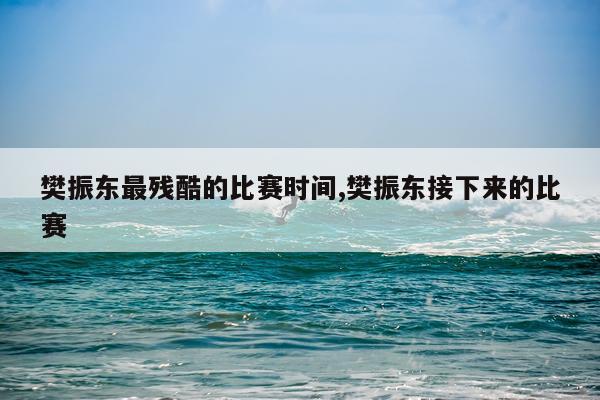 樊振东最残酷的比赛时间,樊振东接下来的比赛