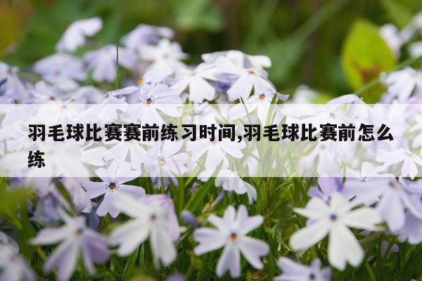 羽毛球比赛赛前练习时间,羽毛球比赛前怎么练