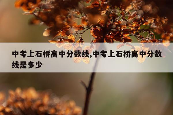 中考上石桥高中分数线,中考上石桥高中分数线是多少