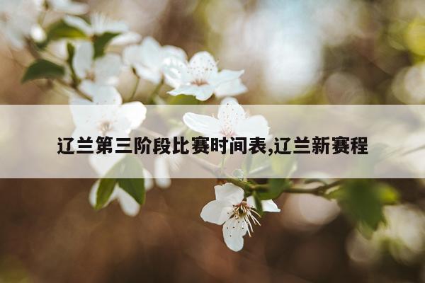 辽兰第三阶段比赛时间表,辽兰新赛程