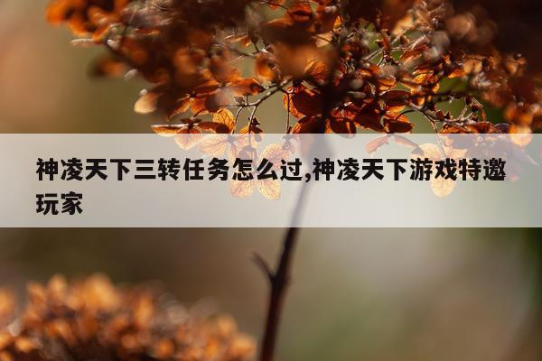神凌天下三转任务怎么过,神凌天下游戏特邀玩家
