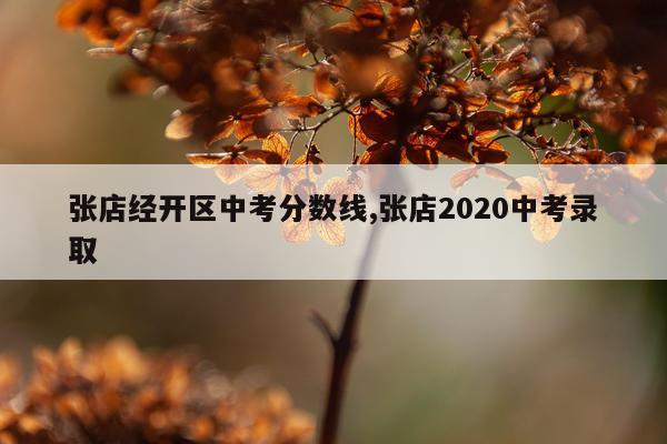 张店经开区中考分数线,张店2020中考录取