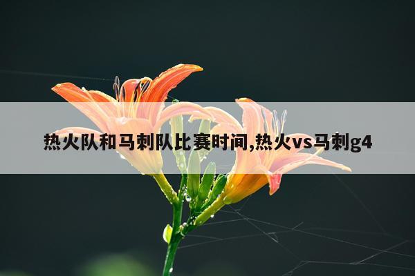 热火队和马刺队比赛时间,热火vs马刺g4