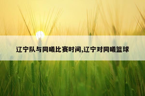 辽宁队与同曦比赛时间,辽宁对同曦篮球