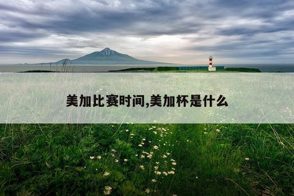 美加比赛时间,美加杯是什么