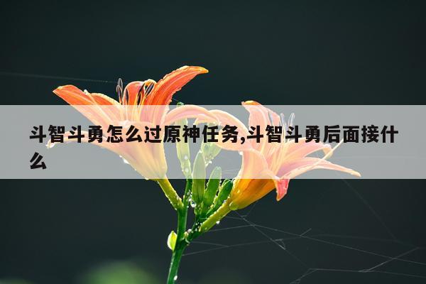 斗智斗勇怎么过原神任务,斗智斗勇后面接什么