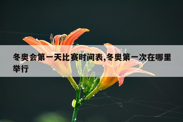 冬奥会第一天比赛时间表,冬奥第一次在哪里举行
