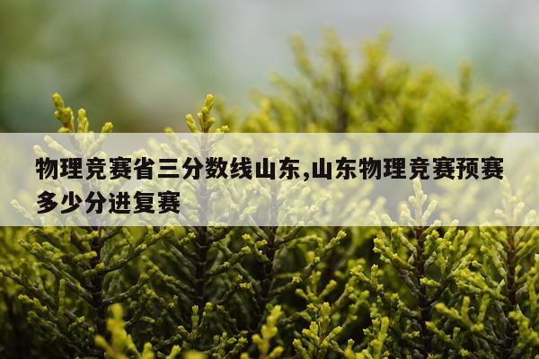 物理竞赛省三分数线山东,山东物理竞赛预赛多少分进复赛