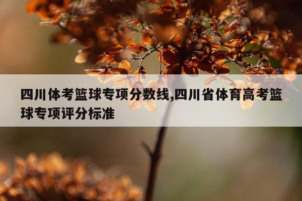 四川体考篮球专项分数线,四川省体育高考篮球专项评分标准