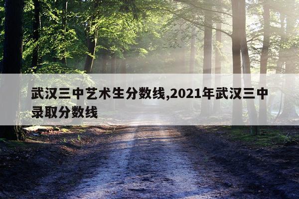 武汉三中艺术生分数线,2021年武汉三中录取分数线
