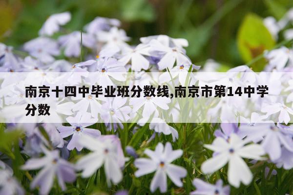 南京十四中毕业班分数线,南京市第14中学分数
