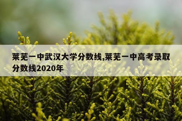 莱芜一中武汉大学分数线,莱芜一中高考录取分数线2020年