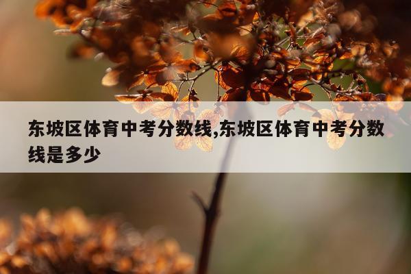东坡区体育中考分数线,东坡区体育中考分数线是多少