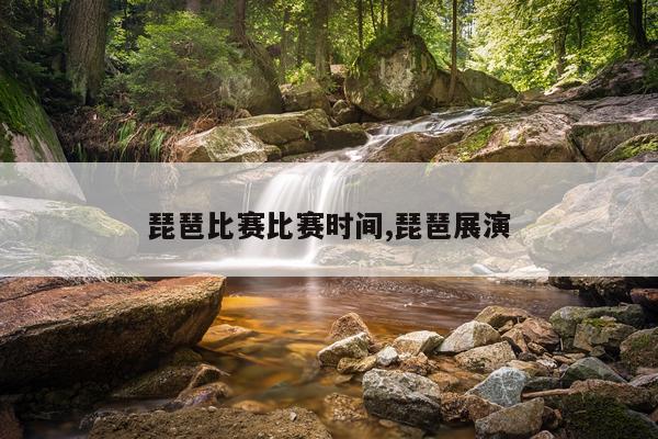 琵琶比赛比赛时间,琵琶展演
