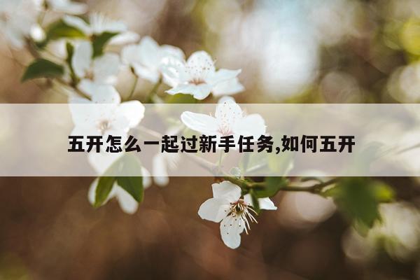 五开怎么一起过新手任务,如何五开