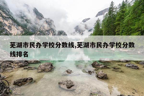 芜湖市民办学校分数线,芜湖市民办学校分数线排名