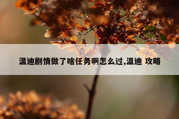 温迪剧情做了啥任务啊怎么过,温迪 攻略