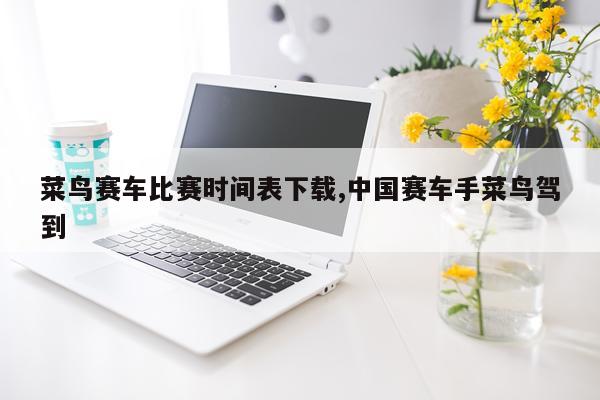 菜鸟赛车比赛时间表下载,中国赛车手菜鸟驾到