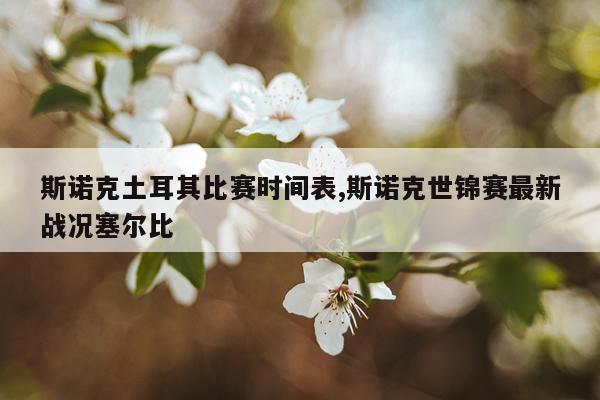 斯诺克土耳其比赛时间表,斯诺克世锦赛最新战况塞尔比
