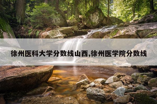 徐州医科大学分数线山西,徐州医学院分数线