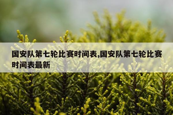 国安队第七轮比赛时间表,国安队第七轮比赛时间表最新