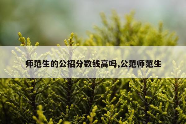 师范生的公招分数线高吗,公范师范生